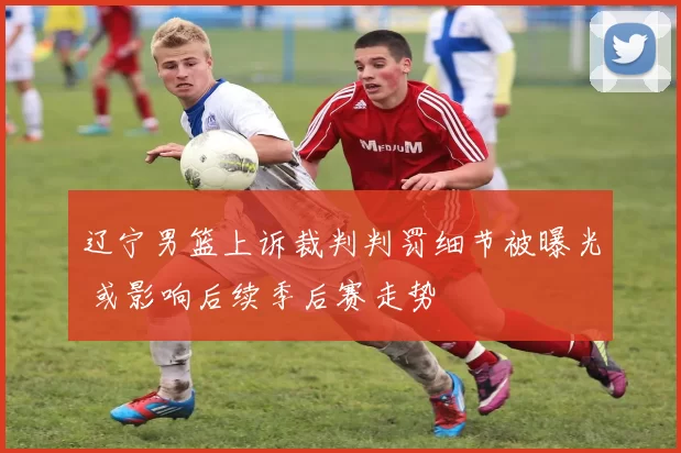 辽宁男篮上诉裁判判罚细节被曝光 或影响后续季后赛走势