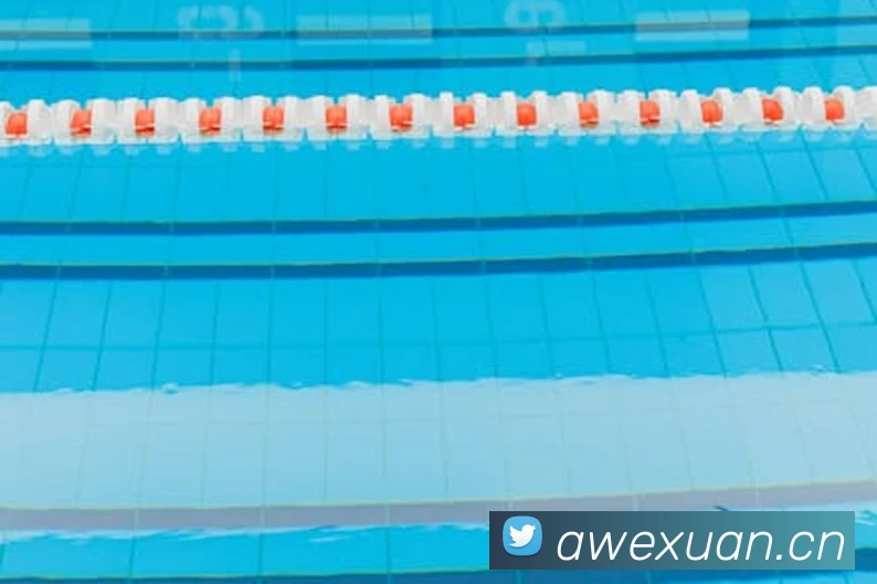 App Interface Preview